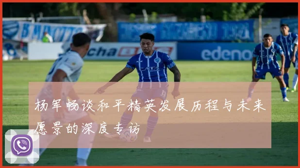杨军畅谈和平精英发展历程与未来愿景的深度专访